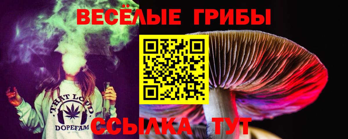 Псилоцибиновые грибы Cubensis Удомля
